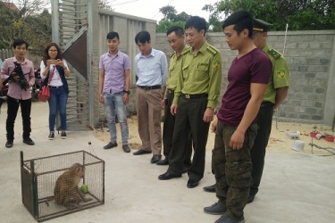 Người dân tự nguyện chuyển giao động vật hoang dã quý hiếm để cứu hộ